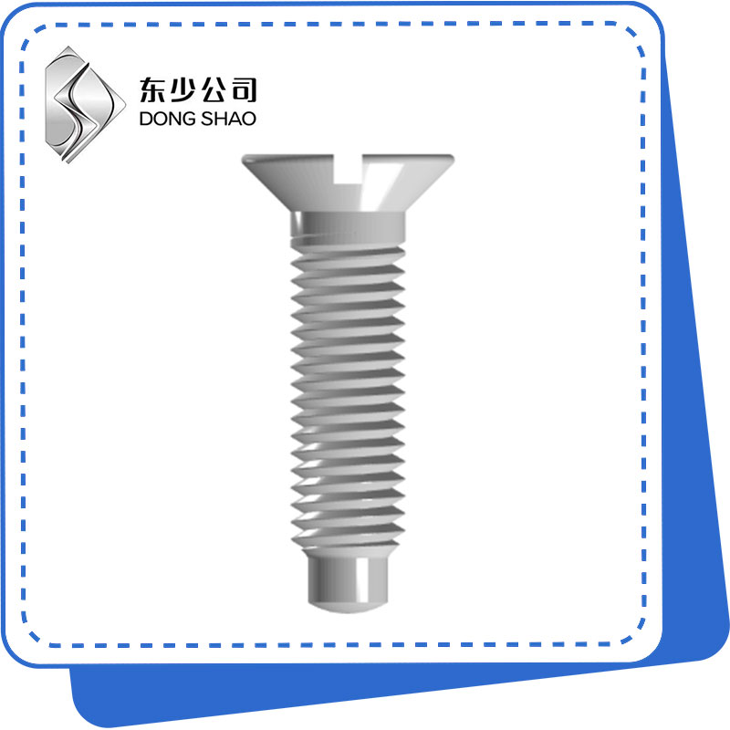 Slotted Countersunk Head Screws mei Full Dog Point